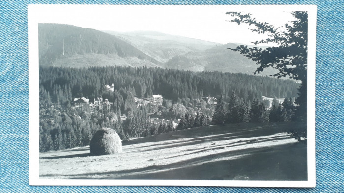 97 - Borsec ,vedere peisaj, Borszek - Reszletes latkep / carte postala