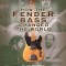 How the Fender Bass Changed the World