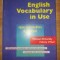 English vocabulary in use- Michael McCarthy, Felicity O`Dell