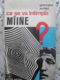 Ce Se Va Intampla Maine? Studii de Estetica - Gheorghe Achitei, Albatros 1972, Arta, Album, Paperback, Romana
