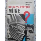 CE SE VA INTAMPLA MAINE? STUDII DE ESTETICA-GHEORGHE ACHITEI-259944