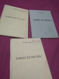 Cumpara ieftin LOT 3 CARNETE MEMBRU C.A.R.P.SIBIU 1969