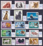 Lot filatelic C&acirc;ini &amp; Canide / Polonia, Mongolia, Bulgaria - A991