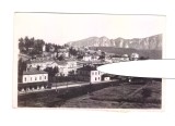 CP Predeal - Vedere partiala spre M-tele Postavaru, circulata 1937, stare foarte buna