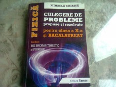 FIZICA CULEGERE DE PROBLEME PROPUSE SI REZOLVATE PENTRU CLASA A X-A SI BACALAUREAT - MIHAELA CHIRITA