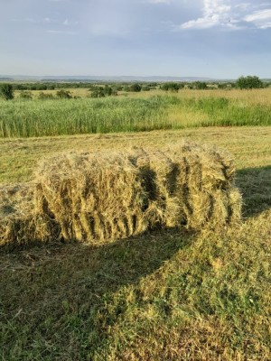 V&amp;acirc;nd baloți foto