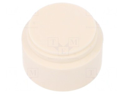 Insert Presetupă NPT1 Elastomer -40&amp;divide;100&amp;deg;C foto