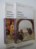 Pieter Bruegel nazdravanul (2 vol.) - Gerhard W. Menzel