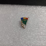 Insigna Fed. Romana de Oina