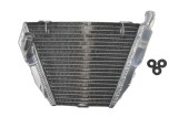 Radiator pentru DUCATI STREETFIGHTER 848/1099 2009-2015