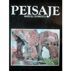 PEISAJE MARCEL OLINESCU