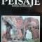 PEISAJE MARCEL OLINESCU