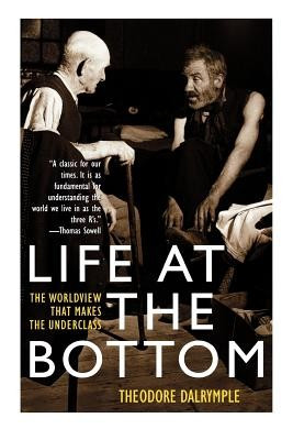 Life at the Bottom: The Worldview That Makes the Underclass foto
