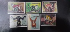 Ajman-Fauna,maimute-serie completa nedantelata,nestampilate MNH (C1)