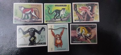 Ajman-Fauna,maimute-serie completa nedantelata,nestampilate MNH (C1) foto
