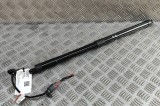 Amortizor haion st&acirc;nga VOLVO XC40 536 2025 OEM: 32384408 30937228