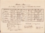 A815 Orar școlar oficial al școlii din Tomnatic, azi &icirc;n județul Timiș, 1879, scris de m&acirc;nă