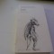 Armadillo - William Boyd , bilingv