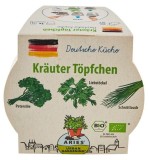Ghiveci biodegradabil cu seminte pentru semanat - mix ierburi germane 3 bucati bio Aries