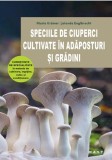 Speciile de ciuperci cultivate in adaposturi si gradini - M.A.S.T