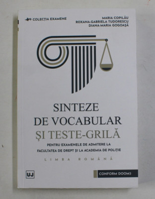 Sinteze de vocabular si teste-grila limba romana foto