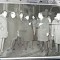 Fotografie, Nicolae Ceausescu in vizita de lucru