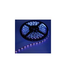 Banda LED UV 12V 60LED/m IP20 SMD5050-Lungime 1 Metru