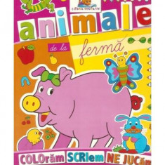 Animale de la fermă. Carte de colorat - Paperback brosat - *** - Lizuka Educativ