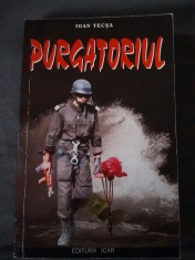 RARA, Purgatoriul, Ioan Tecsa, 1999, Editie Princeps, Bibliofilie, Istorie Revolutie 89, Securitate, Comunism, Servicii Secrete - NOUA