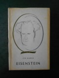 ION BARNA - EISENSTEIN