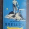 Shelley- Dan Grigorescu