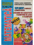 Viorica Elena Carbunaru - Matematica - Culegere de probleme clasa a VI-a (editia 1998)