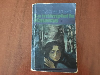 S-a intamplat la Kaunas de Alfonsas Bieliauskas foto