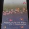 Revista vintage,ANTOLOGIE DE FISE Multi- si interdiciplinare.Supliment al revistei Invatamantul Prescolar 2008,ANCA BULBOACA(COORDONATOR )296 P.F.MARE