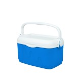 Geantă frigorifică Curver S 10L albastru-alb
