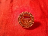 Insigna Stema Kazakstan Sovietic , metal si email , d=2cm