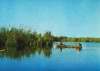 CPI B12837 CARTE POSTALA - DELTA DUNARII, Necirculata, Fotografie