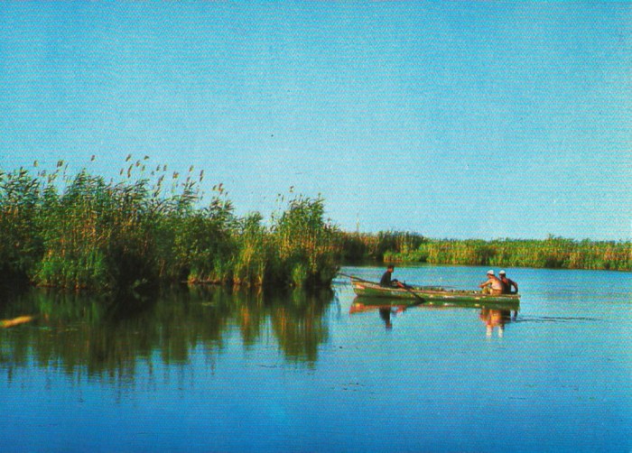 CPI B12837 CARTE POSTALA - DELTA DUNARII