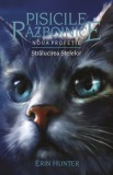 Pisicile razboinice Vol. 10-Noua Profetie.Stralucirea stelelor - Editura Grupul All
