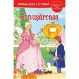 CENUSAREASA. Poveste cu pictograme. Nivelul 1. - Litera