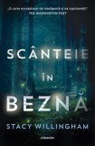 Sc&acirc;nteie &icirc;n beznă - Paperback brosat - Stacy Willingham - Nemira