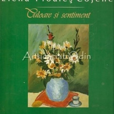 Culoare Si Sentiment - Elena Floares Cojenel - Cu Autograful Autorului