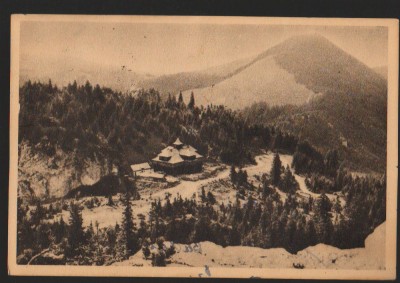 CPIB 15526 CARTE POSTALA - MUNTII BISTRITEI RARAU. CABANA C.C.S., RPR, 1956 foto