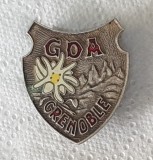 Insigna FLOARE DE COLŢ - Alpinism - Turism - Drumeţie - SUPERBĂ