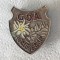 Insigna FLOARE DE COLŢ - Alpinism - Turism - Drumeţie - SUPERBĂ