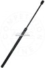 Amortizor portbagaj LAND ROVER FREELANDER 2 (LF, FA) (2006 - 2014) AIC 53861