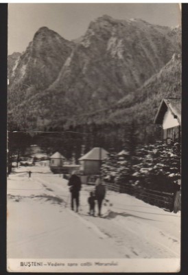 CPIB 22559 - CARTE POSTAL - BUSTENI, VEDERE SPRE COLTII MORARULUI, RPR foto