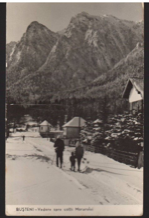 CPIB 22559 - CARTE POSTAL - BUSTENI, VEDERE SPRE COLTII MORARULUI, RPR