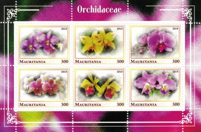MAURITANIA 2018 - Orhidee [1] / colita MNH foto