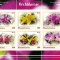 MAURITANIA 2018 - Orhidee [1] / colita MNH